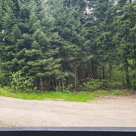 شقة A10 Gardens *