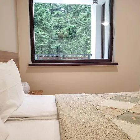 A10 Gardens Borovets