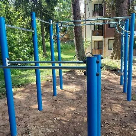 A10 Gardens شقة *