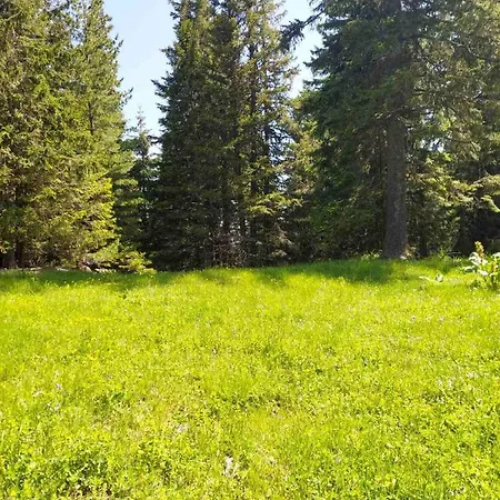 Appartement A10 Gardens *