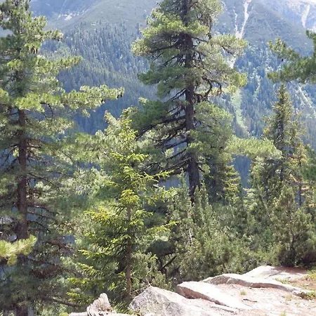 Appartement A10 Gardens Borovets