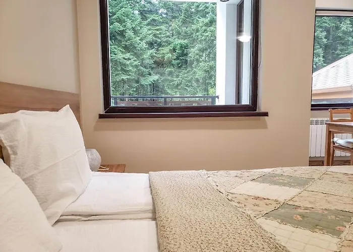 A10 Gardens Borovets