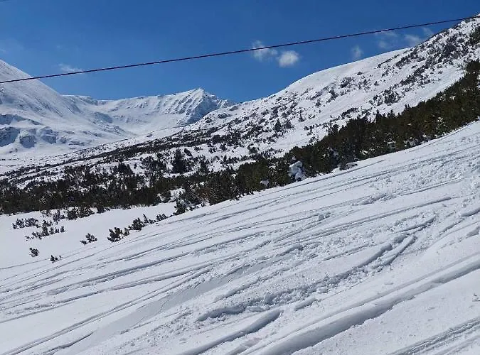 A10 Gardens Апартамент *