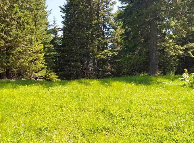 Апартамент A10 Gardens *