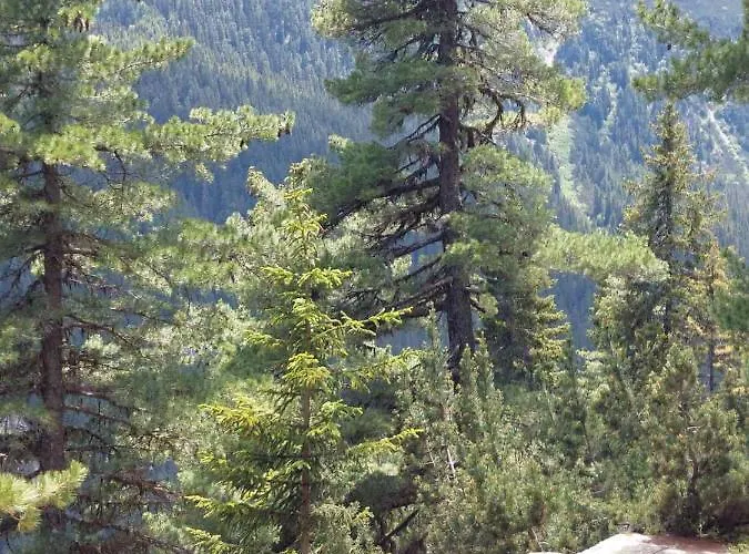 Lejlighed A10 Gardens Borovets